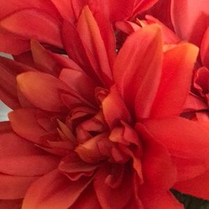 Meet your Posher, Fashion